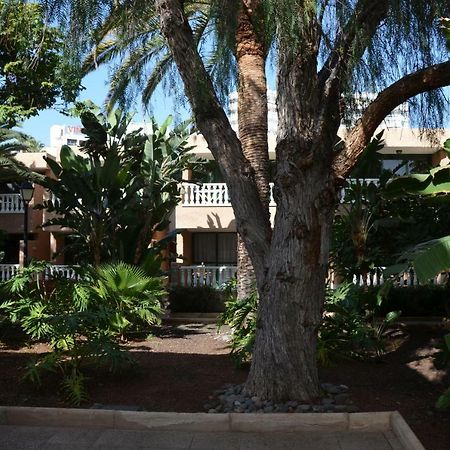 Parque De Las Americas Appartement Costa Adeje  Buitenkant foto
