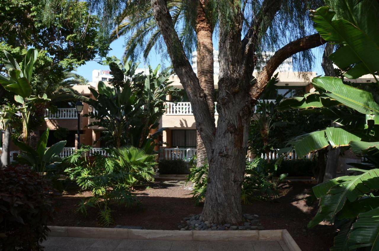 Parque De Las Americas Appartement Costa Adeje  Buitenkant foto